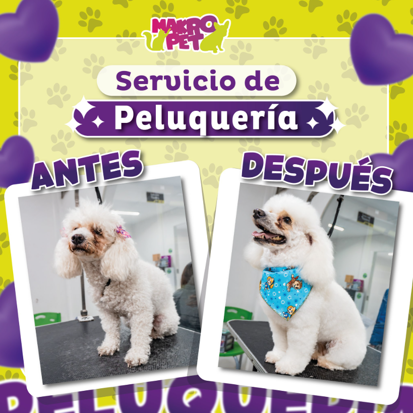 MAKRO PET